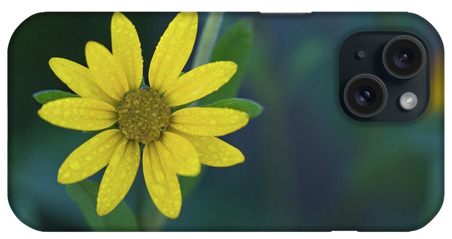  iPhone Case featuring the photograph Morning Dew by Vincent Bonafede