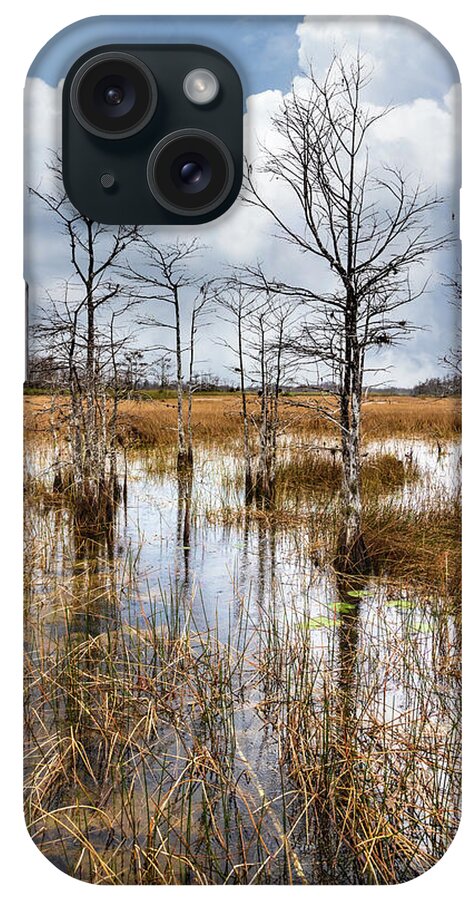 Clouds iPhone Case featuring the photograph Morning Everglades by Debra and Dave Vanderlaan