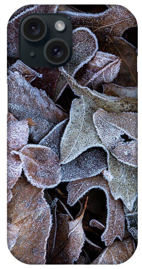 Leaves iPhone Case featuring the photograph Morning Frost 2 by Steve Gravano