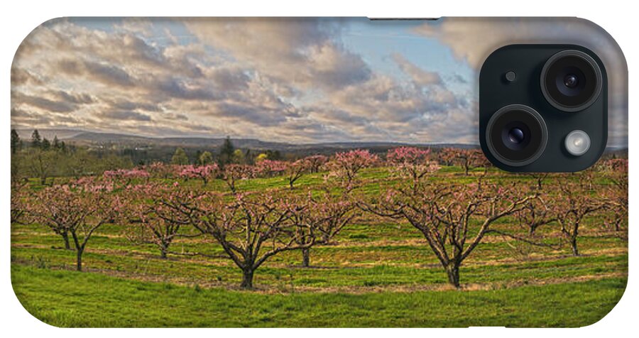 Orchards iPhone Case featuring the photograph Morning Glory Orchards by Angelo Marcialis