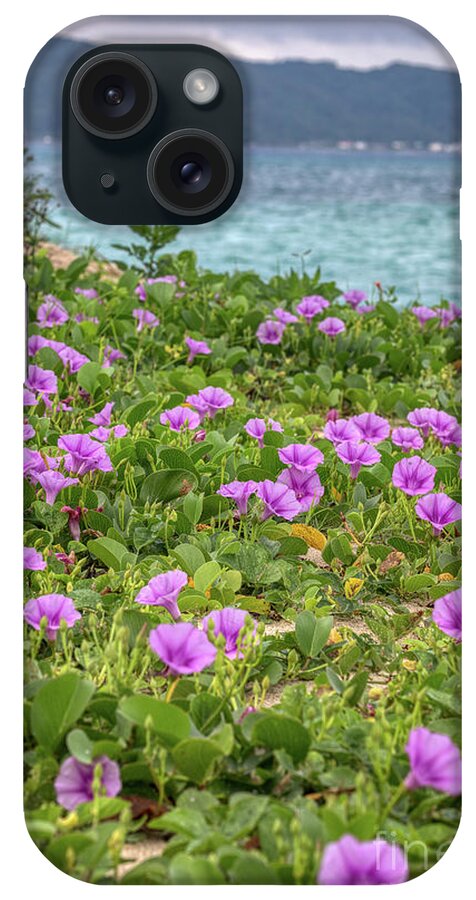 Beach Morning Glory iPhone Case featuring the photograph Morning Glory by Rebecca Caroline Photography