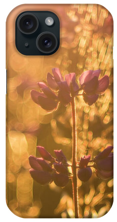 Plant iPhone Case featuring the photograph Morning light by Maria Dimitrova