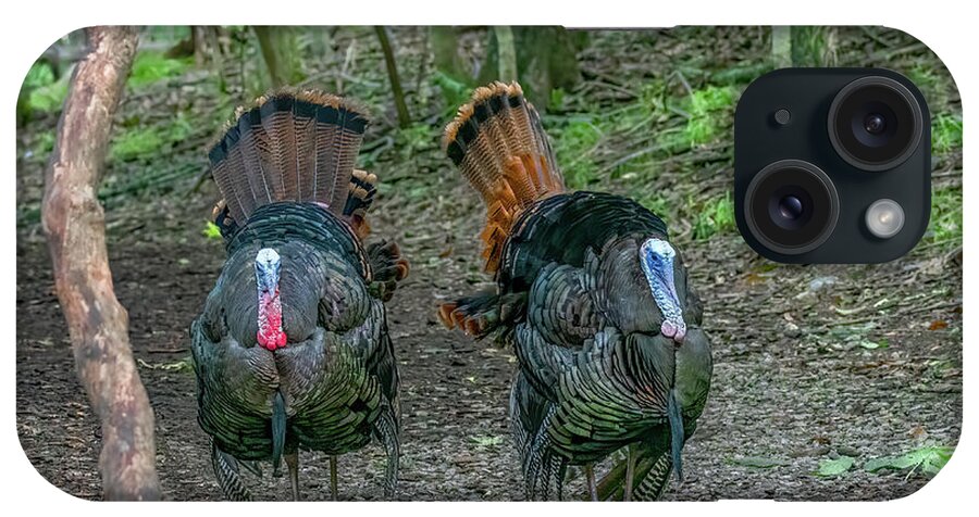 Wild Turkeys iPhone Case featuring the photograph Morning Stroll in the Woods by Marcy Wielfaert
