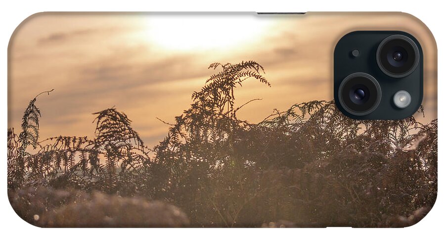 Morning iPhone Case featuring the photograph Morning sunrise by Andrew Lalchan