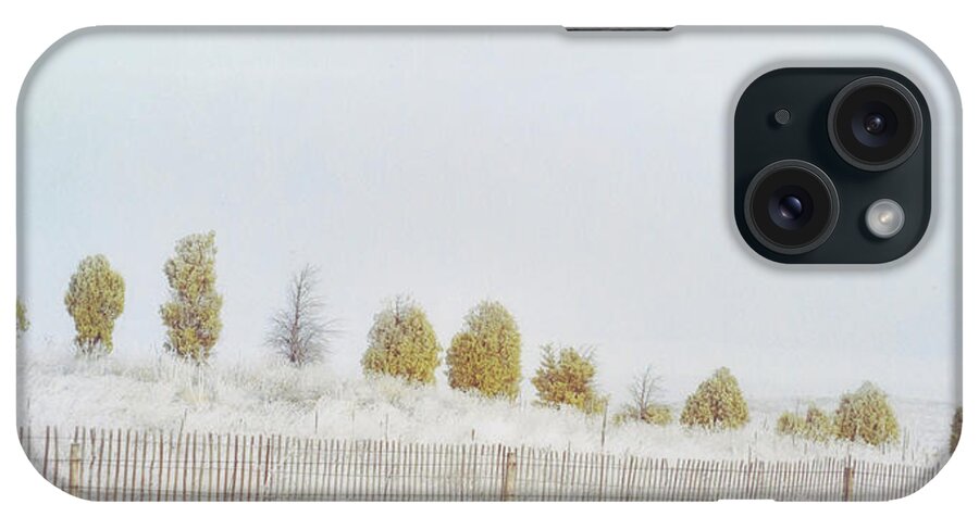 Infrared iPhone Case featuring the photograph Morning Walk by Jim Cook