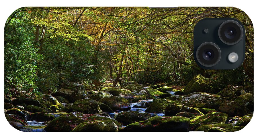 Travel iPhone Case featuring the photograph Moss and Water by Gina Fitzhugh
