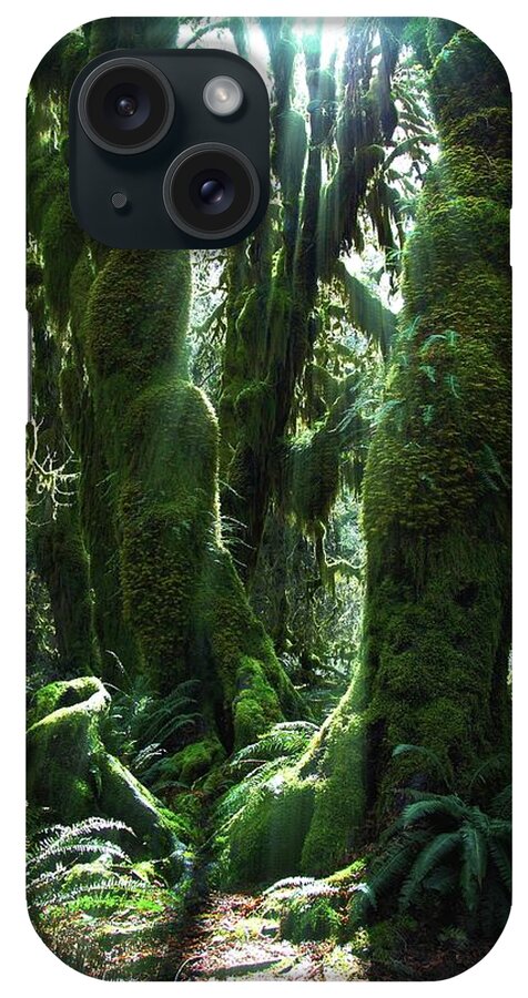 Nature iPhone Case featuring the photograph Moss Heaven by Rachel Jitabebe