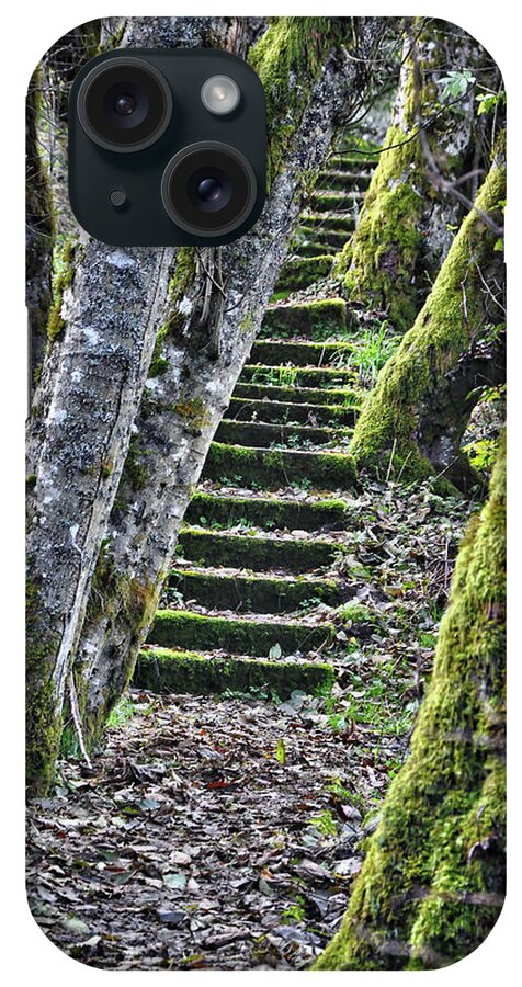 Trails iPhone Case featuring the digital art Moss Stairs by Kirt Tisdale