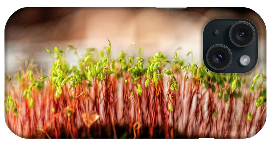 Macro iPhone Case featuring the photograph Mossy Forest by Pamela Dunn-Parrish