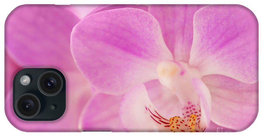 Orchid iPhone Case featuring the photograph Moth orchid, pretty in pink by Delphimages Photo Creations