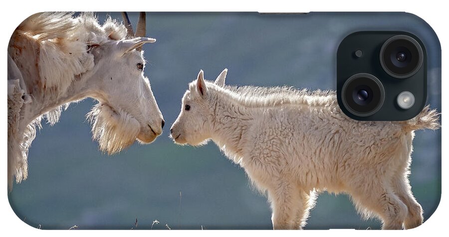 Mountain Goats iPhone Case featuring the photograph Mother Child Reunion by Jack Bell