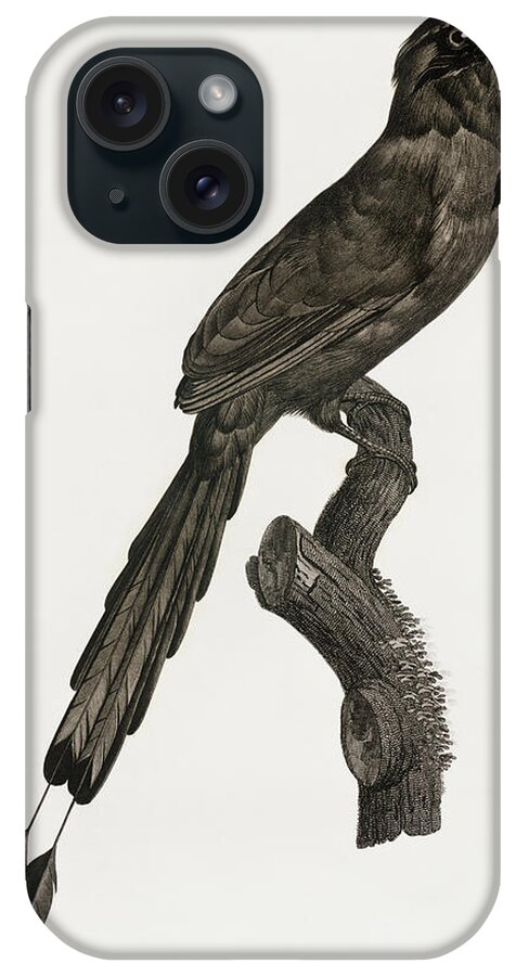 Jacques Barraband iPhone Case featuring the digital art Motmot - Vintage Bird Illustration - Birds Of Paradise - Jacques Barraband - Ornithological Art by Studio Grafiikka