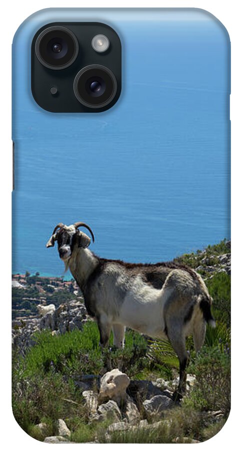 Mountains iPhone Case featuring the photograph Mountain goat, Mediterranean Sea and the coastal city of Calpe by Adriana Mueller