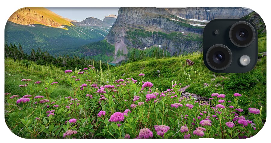 Flowers iPhone Case featuring the photograph Mountain meadow by Robert Miller