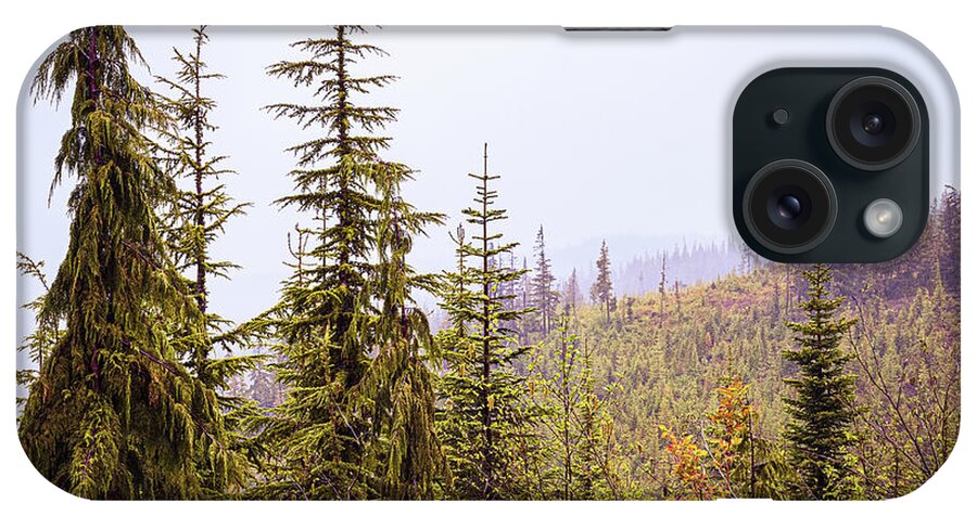 Landscapes iPhone Case featuring the photograph Mountain Mist by Claude Dalley