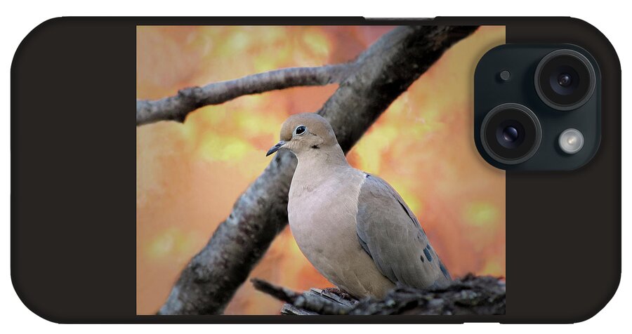 Bird iPhone Case featuring the photograph Mourning Dove at Sundown by David and Carol Kelly