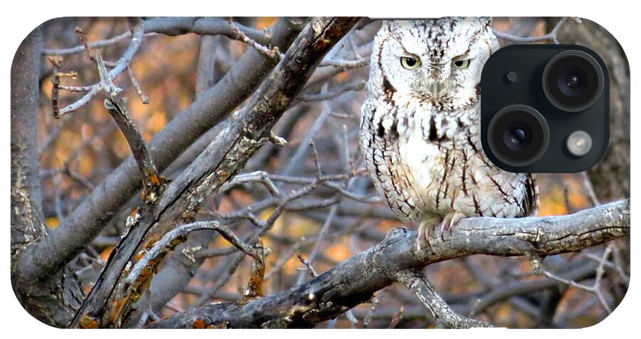 Owl iPhone Case featuring the photograph Mouser Extraordinaire by Katie Keenan