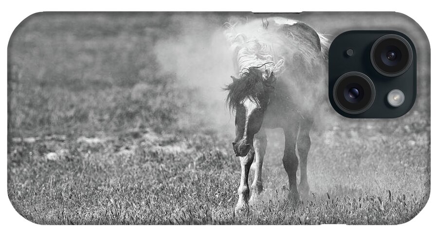 Horse iPhone Case featuring the photograph Mr T Shaking Off the Dust by Fon Denton