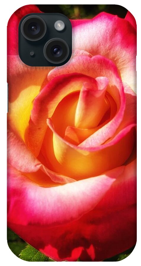 Rose iPhone Case featuring the photograph Multi Rose 1 by Wendy Golden