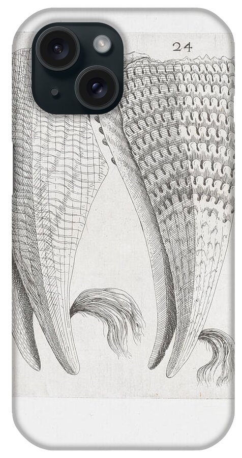 Mussel iPhone Case featuring the digital art Mussel Sketch - 1681 by Kim Kent