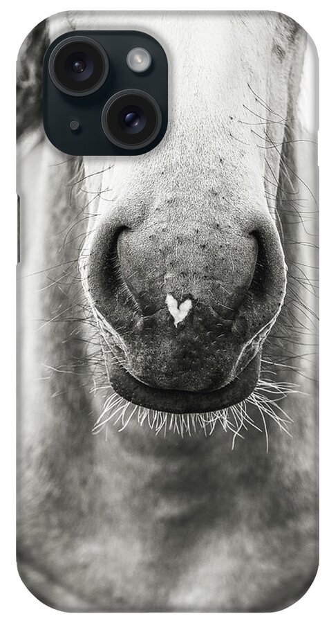 Horse iPhone Case featuring the photograph My Heart II - Horse Art by Lisa Saint