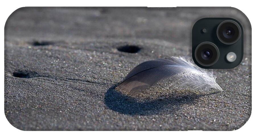Beach iPhone Case featuring the photograph Mysterious Feather by Liza Eckardt