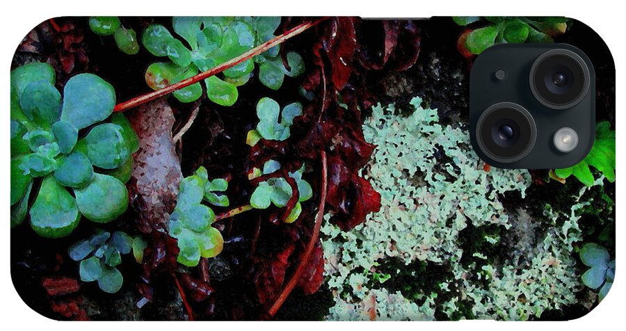 Lichen iPhone Case featuring the photograph Natural Still Life #5 by Larry Bacon