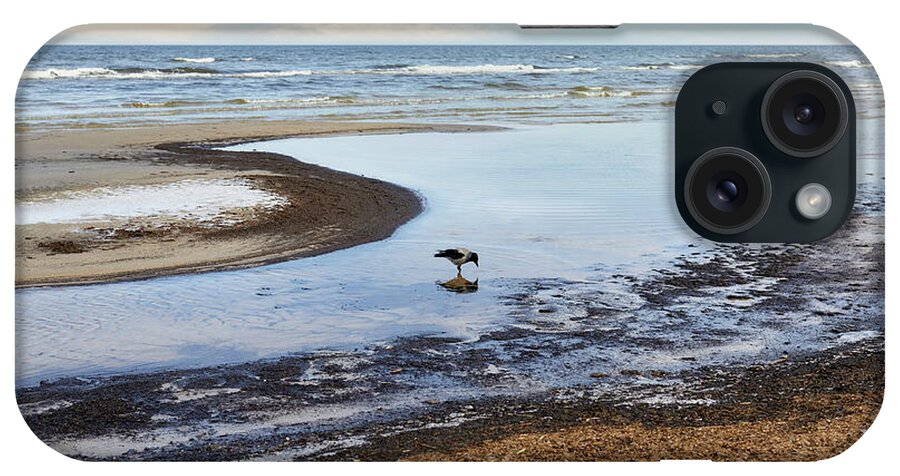 Photography #beach Photography #frozen Beach#low Tide #march Weather #one Crow #sea Mirror #beach Lines #clear Morning Light #jurmala Beach iPhone Case featuring the photograph Nature Mirror On The Beach Jurmala by Aleksandrs Drozdovs