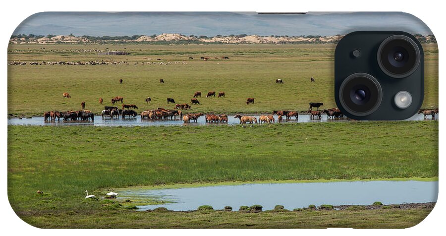 Herders Lifestyle iPhone Case featuring the photograph Nature Mongolia by Bat-Erdene Baasansuren
