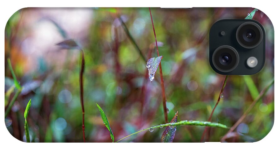 Fall iPhone Case featuring the photograph Nature Photography - Fall Grass by Amelia Pearn