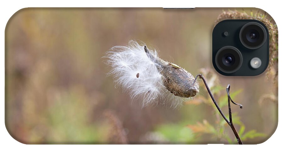 Plants iPhone 15 Case featuring the photograph Nature Photography - Milkweed by Amelia Pearn