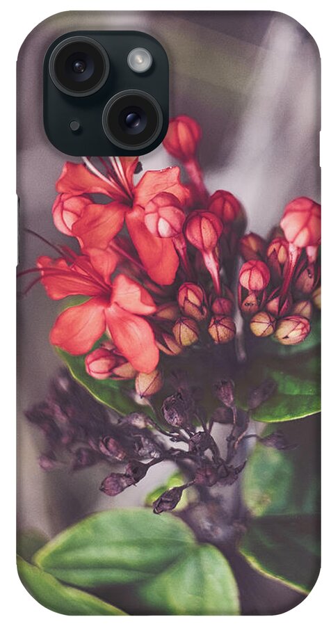 Nature Art iPhone Case featuring the photograph Nature Pic 1 by Gian Smith