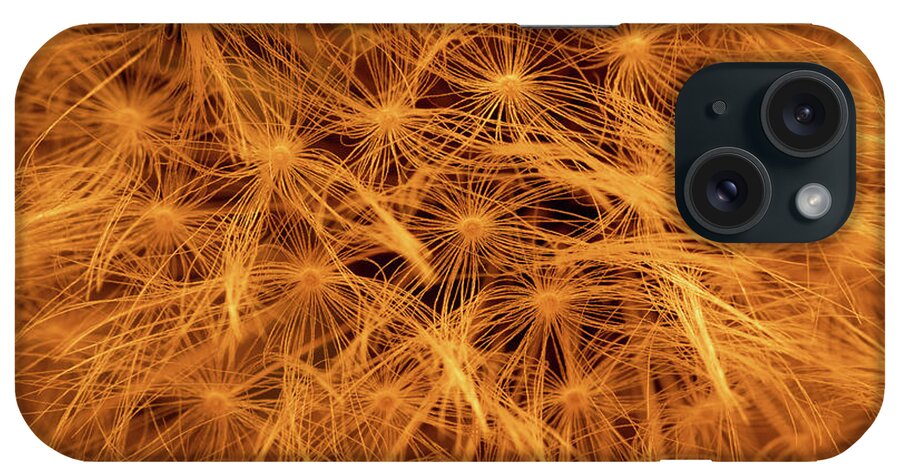 Dandelion iPhone Case featuring the photograph Nature's Fireworks by Kevin Schwalbe