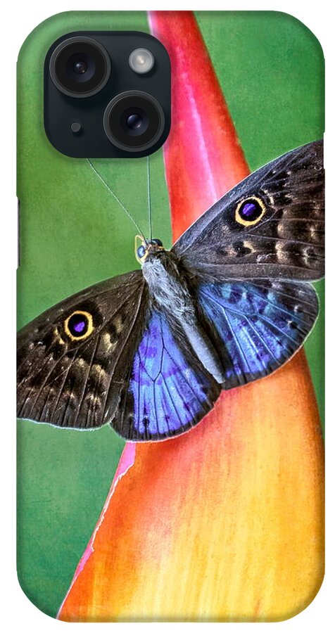 Butterfly iPhone Case featuring the photograph Natures Gift by Susan Hope Finley
