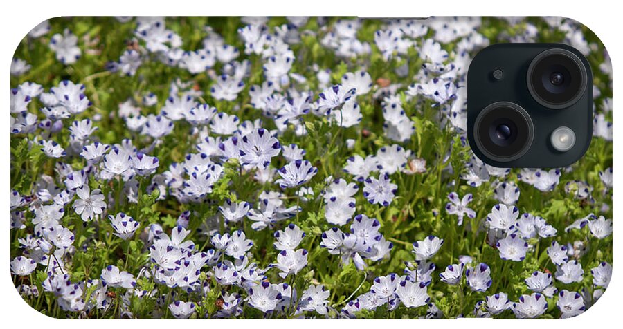 Jenny Rainbow Fine Art Photography iPhone Case featuring the photograph Nemophila Maculata Blooms 3 by Jenny Rainbow