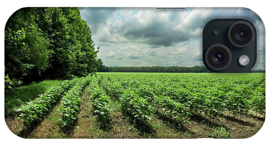 Statesboro iPhone Case featuring the photograph New Cotton Corner Rows by Ed Williams