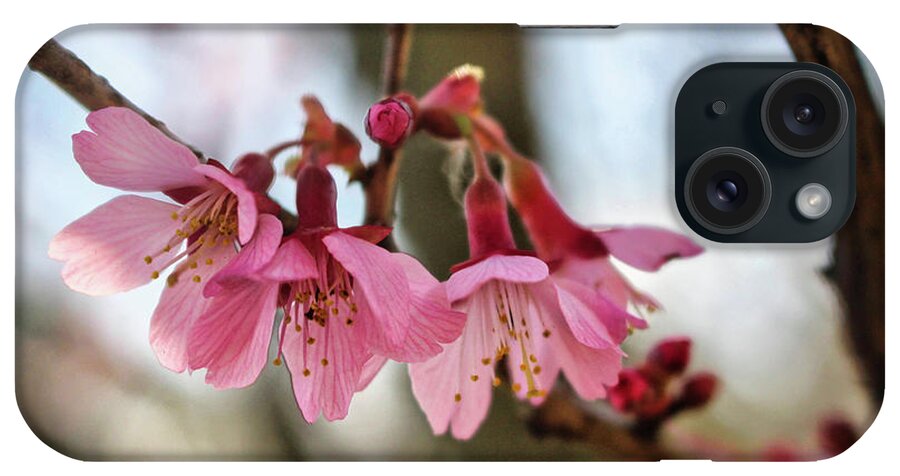 Newark iPhone Case featuring the photograph Newark Cherry Blossom Series - 5 by Christopher Lotito