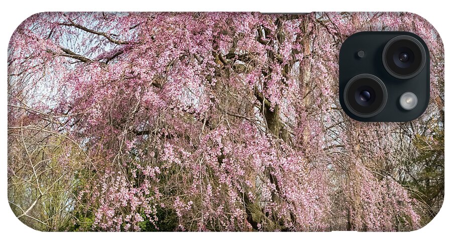 Blossoms iPhone Case featuring the photograph Niagara Weeping Cherry by Marilyn Cornwell