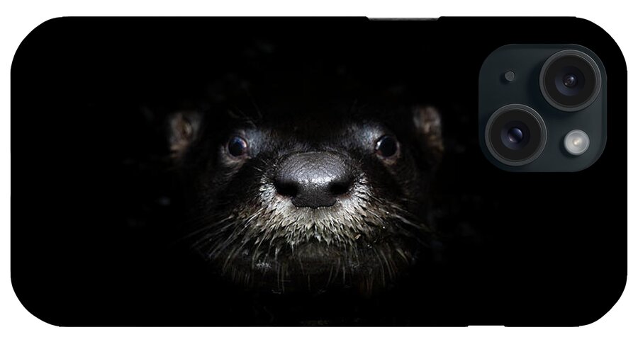 Otter iPhone Case featuring the photograph Night of the Otter by Mark Andrew Thomas