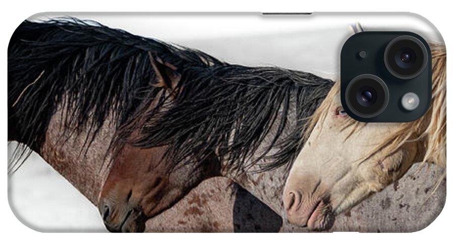 Panorama iPhone Case featuring the photograph Norman and Friends by Mary Hone
