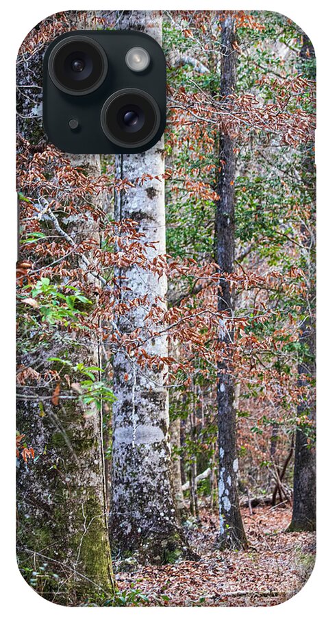 Hike iPhone Case featuring the photograph North Carolina Winter Scene Along the Trail by Bob Decker