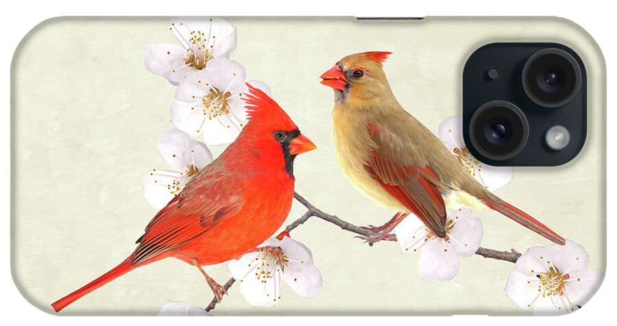 Northern Cardinal Bird iPhone Case featuring the photograph Northern Cardinal Couple by Laura D Young