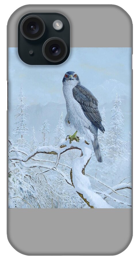 Northern Goshawk iPhone Case featuring the painting Northern Goshawk by Barry Kent MacKay
