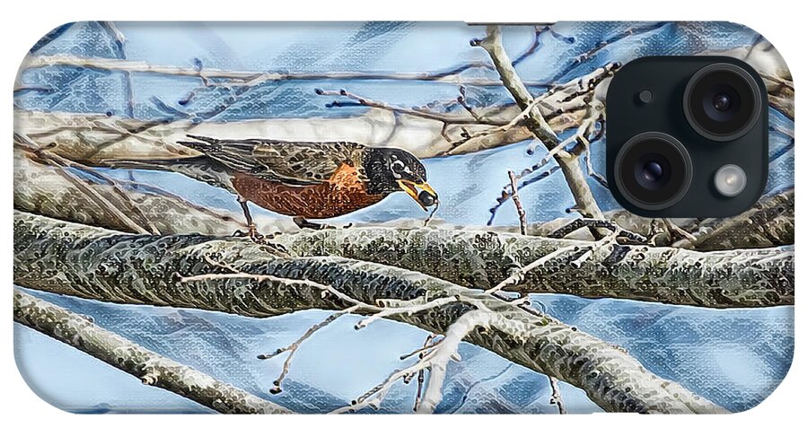 Robin iPhone Case featuring the photograph Northern Robin by Deborah Benoit