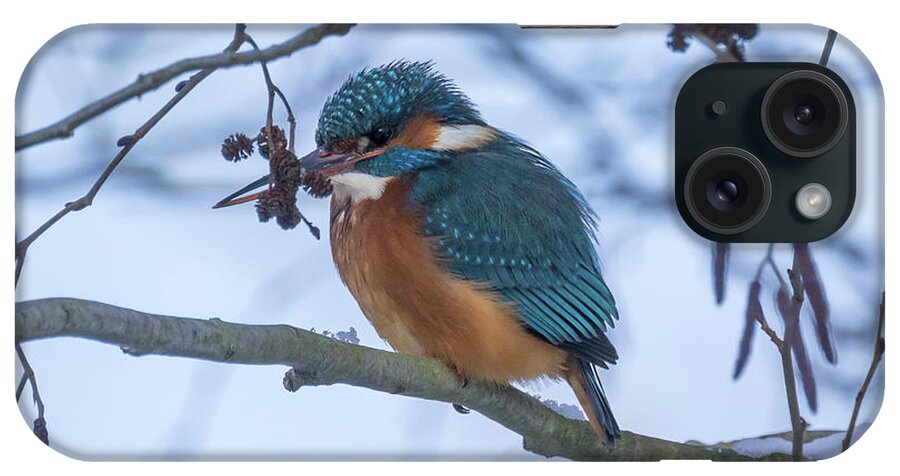 European Kingfisher iPhone Case featuring the photograph Not Freezing by Eva Lechner