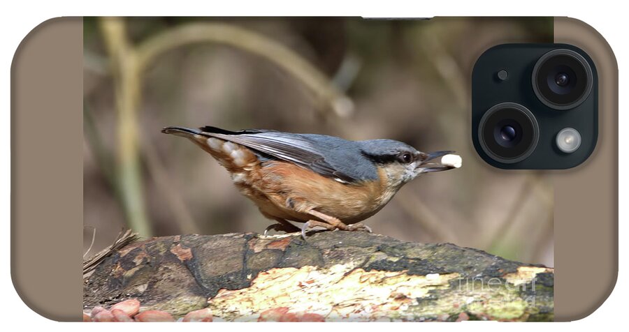 Birds iPhone Case featuring the photograph Nuthatch bandit by Stephen Melia