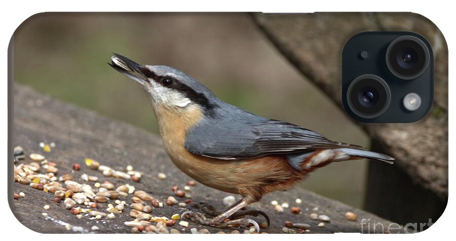 Nuthatch iPhone Case featuring the photograph Nuthatch benched by Stephen Melia