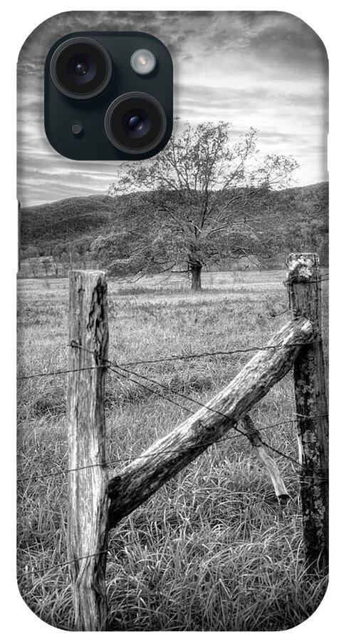 Cades iPhone Case featuring the photograph Oak Tree at Sunrise in Black and White by Debra and Dave Vanderlaan