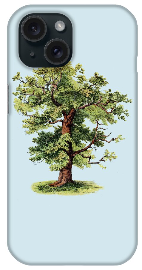 Oak iPhone Case featuring the digital art Oak Tree On Blue Background by Madame Memento