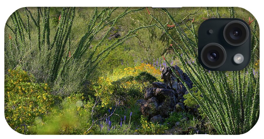 Desert iPhone Case featuring the photograph Ocotillo Rock Garden by Gene Taylor